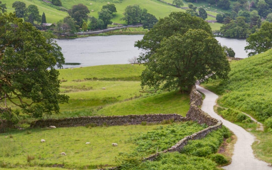 Individuals Raise Over £40,000 for The Country Food Trust Through Personal Challenges